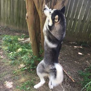 Meet your Posher, Christian